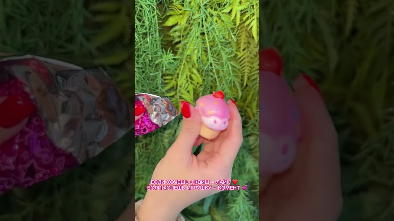 Что такое сквиш?)