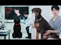 "Squatting Dog: The First Victim of a Mysterious Virus"