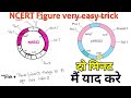 Easy trick to learn sequence of E.Coli Cloning vector pBR322 || NCERT Figure 11.4 , NEET ,AIIMS,