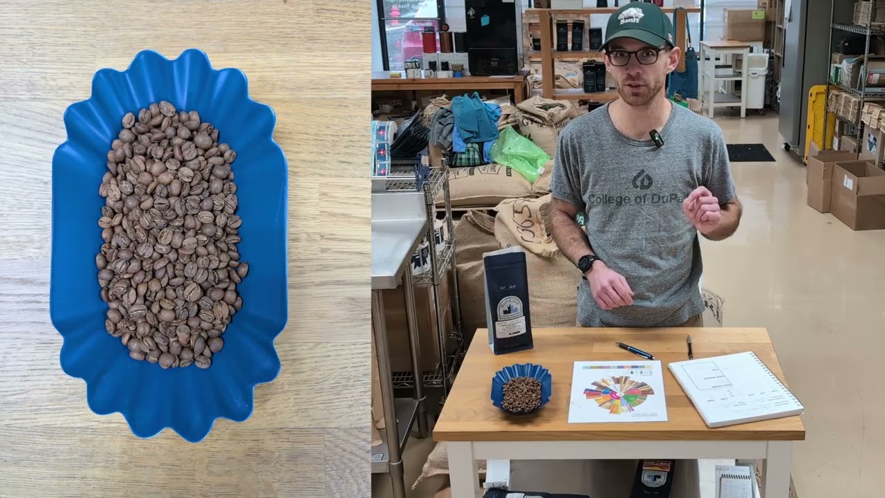 Costa Rica Marigold - Washed Process Medium Roast - Direct Source - 2025 Edition