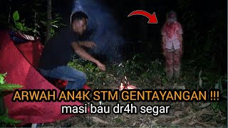 Download Lagu camping horor‼️merinding ARWAH AN4K STM GENTAYANGAN mengikuti saya dalam tenda MP3 Download Lagu camping horor‼️merinding ARWAH AN4K STM GENTAYANGAN mengikuti saya dalam tenda MP3