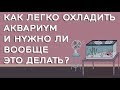 Охлаждение аквариума. Как понизить температуру воды в аквариуме?