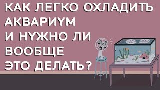 Охлаждение аквариума. Как понизить температуру воды в аквариуме?