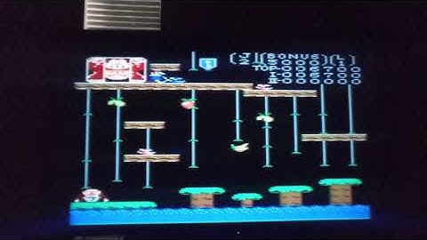 Donkey Kong Jr. Atari 7800 Original Library Review