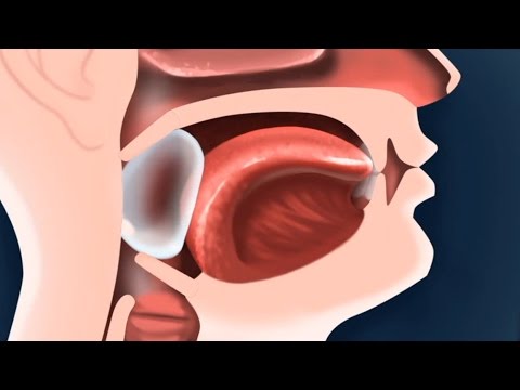 Горло. Строение горла - развивающий мультфильм для детей