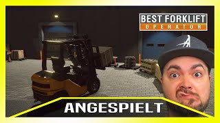 Best Forklift Operator Gabelstaplerfahrer Klaus, ähhh Larsi im Einsatz | Gameplay deutsch/german pc screenshot 3