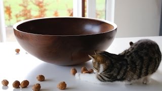 Turning a wooden salad bowl with Glenn Lucas