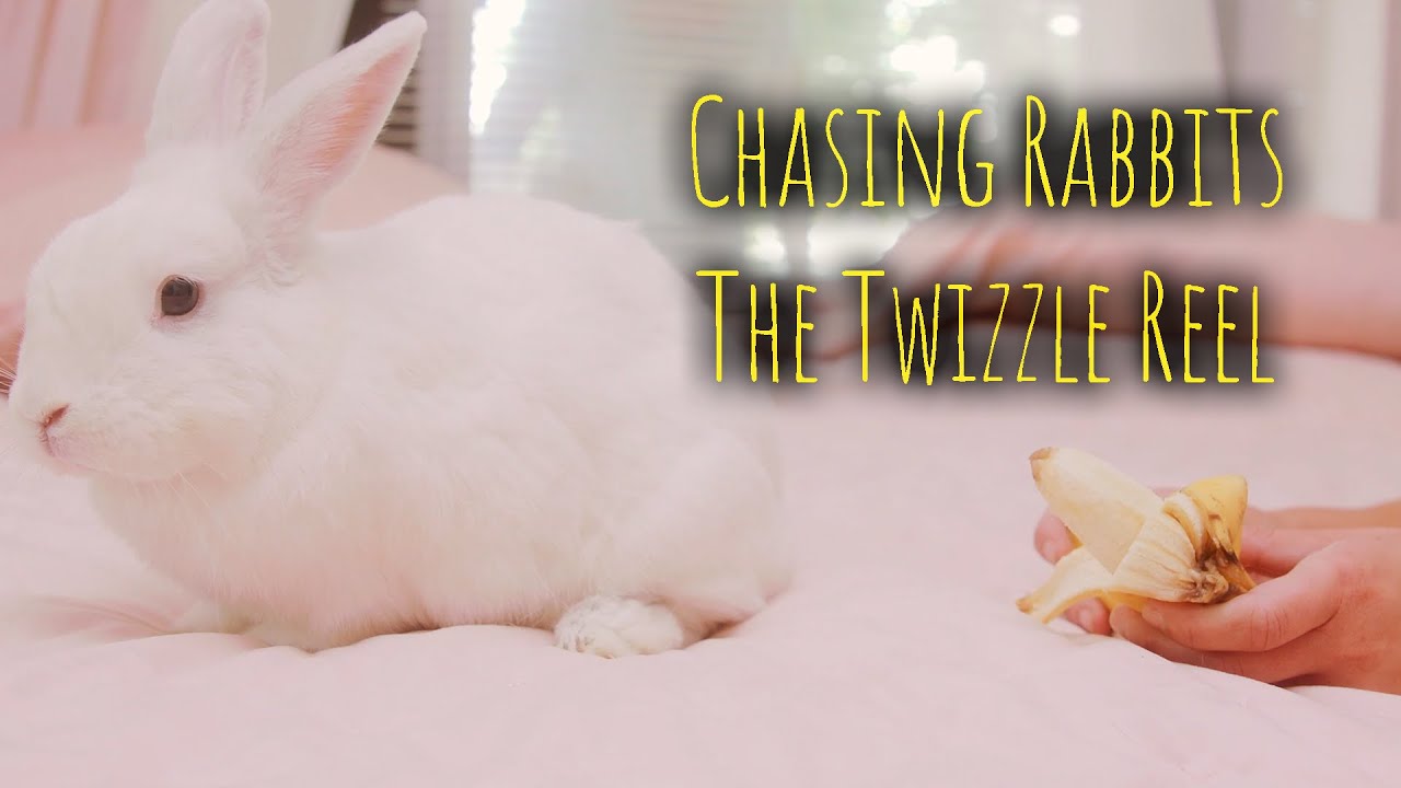 Chasing Rabbits - The Twizzle Reel - YouTube