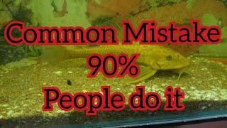 common aquarium mistake 90% people do it.