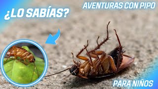 Cosas Que No Sabías De Las Cucarachas🐜/ PARA NIÑOS by Aventuras con Pipo 10,317 views 1 month ago 4 minutes, 31 seconds