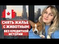 Аренда квартиры в Канаде. Что нужно знать новому иммигранту? Как снять жилье без кредитной истории?