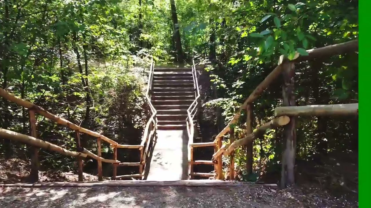 landal coldenhove en omgeving