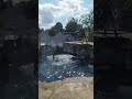 #sealionshow #sea #sealife #sealions #animals #youtube #youtuber #instagram #beautiful