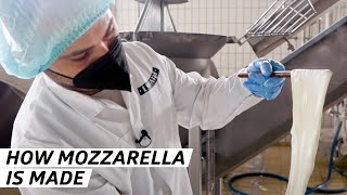 How One of the World's Biggest Mozzarella Distributers Makes its Cheese - Vendors