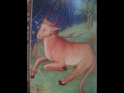 Taurus the Tenacious