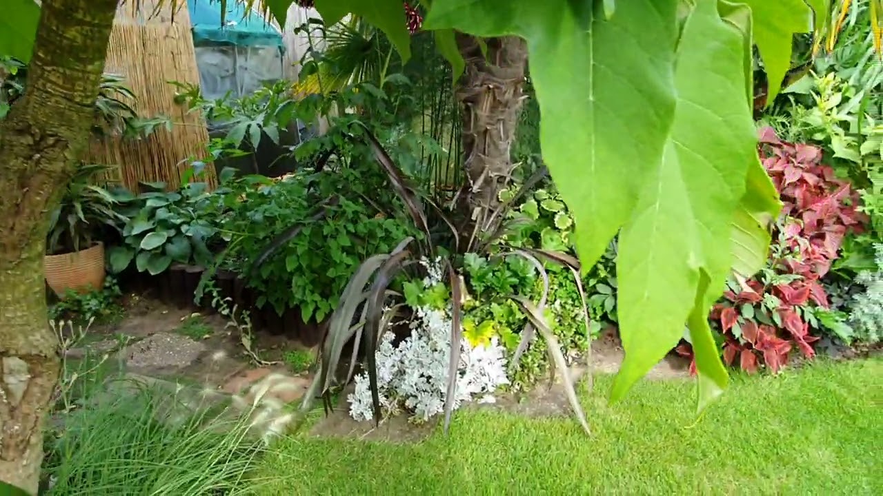 Hellesdon's Hidden Tropicanza part 3