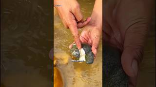 Hidden Crystal Found Inside a River Rock 💎#shorts #usa #viralvideo #trending #explore
