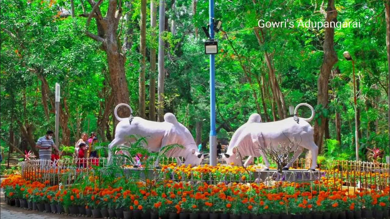 Pondicherry Flower Exhibition Flower show in pondicherry flower