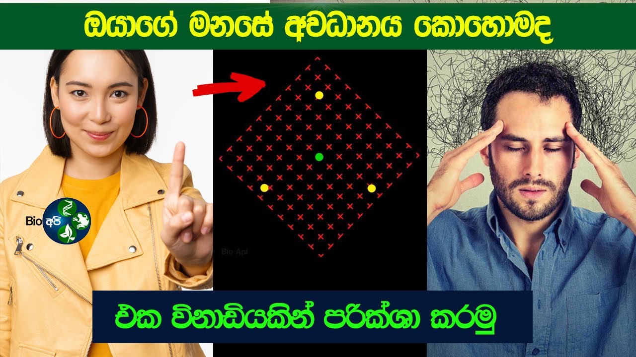 ඔයාගේ අවධානය ගැන විනාඩියෙන් බලමු | Concentration illusion Test - How Strong Is Your Mind?  #shorts