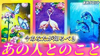 【2025年中に見て❗️】今知るべき2人の真実🌹あの人の気持ち💓とあなたの本音💓そしてこれから進む未来🌈個人鑑定級　タロット占い