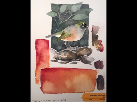 Saunders Waterford Watercolor Paper Review - Doodlewash®