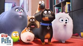 The Secret Life Of Pets Behind The Scenes 2016