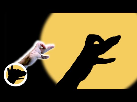 HOW to Make a DUCK with HAND SHADOWS 🦆 |  Shadow HANDS Tutorial!