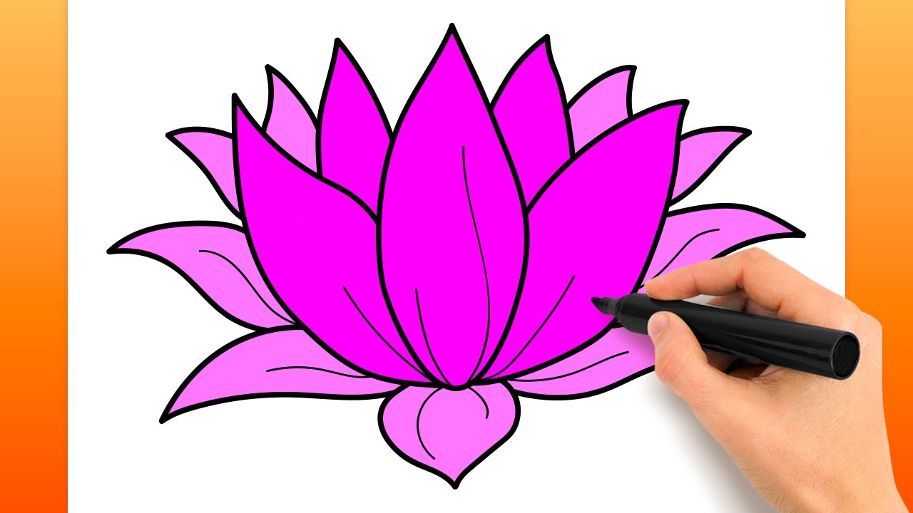 Comment Dessiner Une Fleur De Lotus (Tutoriel De Dessin Facile) 