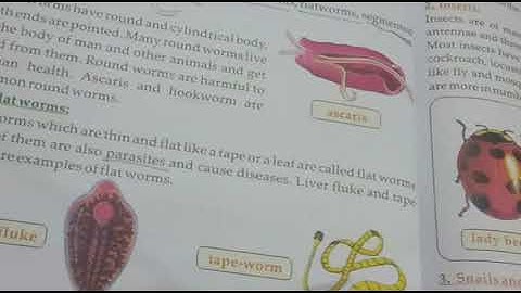 Class 3 SkyLark Science Chapter 3 Lec 1