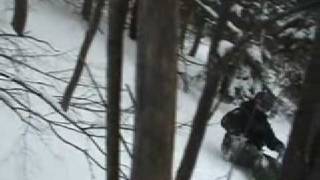 Tree-Rail at Mt. Sunapee