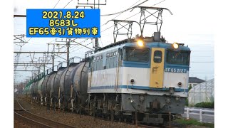 2021.8.24 8583レ EF65牽引貨物列車