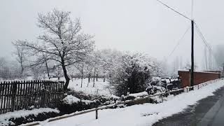 Zaqatalada mart ayında yağan qar.