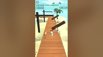 Dog Run Race 3D | Level 13
