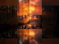 30 seconds Quiet River Nights 🌌Relaxing Ambience