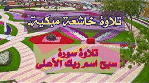 تلاوة خاشعة مبكية😭 سورة الأعلى| سبح اسم ربك الأعلى.بصوت مؤثر وجميل.