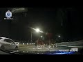 NSW Police: Escaped Horses Cause Chaos on Sydney Streets