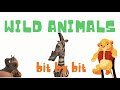 Quiz zu Video-Tutorial
