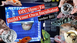 How to: Make Your Own Reptile Incubator for less than $50 in materials