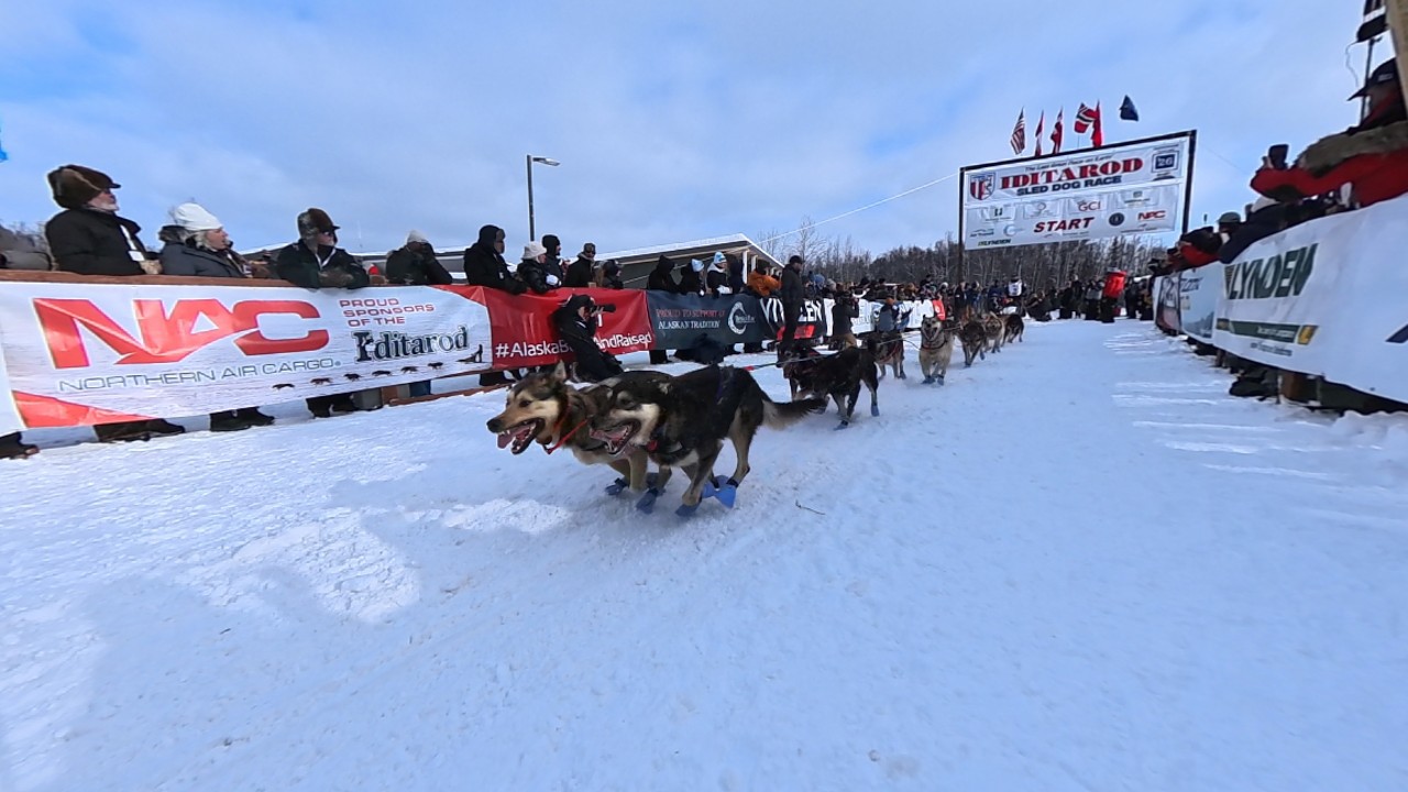 Iditarod 2026 - Pete Kaiser - Willow Restart