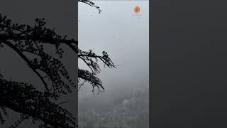 NIEVE EN BUENOS AIRES 😍❄️