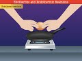 Exothermic And Endothermic Reactions Explained Through Engaging Examples