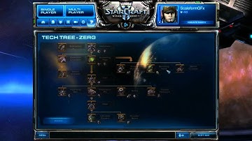 Starcraft 2: Wings of Liberty - Scaleform UI