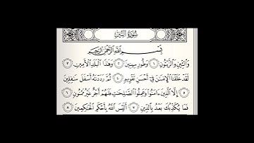 surah At-Tin || Sheikh Maher Al Muqaily || سورة التين