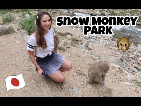 Видео: Как да посетите Японски снежни маймуни: Jigokudani Monkey Park