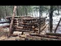 Building a LOG CABIN in the Woods!