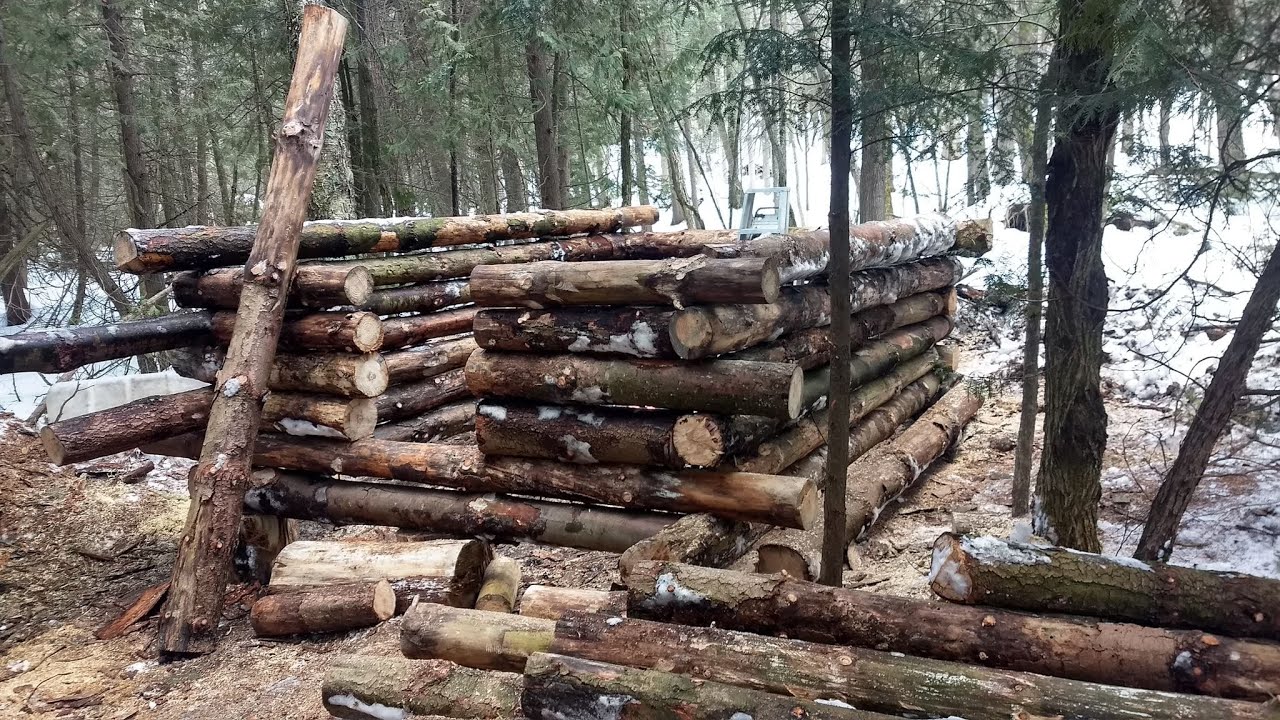 Building a LOG CABIN in the Woods! YouTube