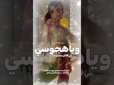 شيلة وياهجوسي نبي قافن يشيلونه السعودية الكويت الامارات قطر عمان البحرين 