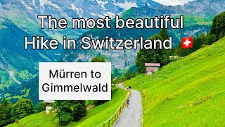 The most beautiful hike in Switzerland: from Murren to Gimmelwald.4K 60 fps.Easiest hiking with kids