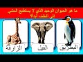 اسئلة ثقافة عامة تحدي الثقافة العامة اختبرمعلوماتك الثقافية الجزء الثاني اسئلة ثقافة عامة تحدي الثقافة العامة اختبرمعلوماتك الثقافية الجزء الثاني