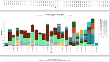 Mina Testworld Mini Vlog - Mina Community